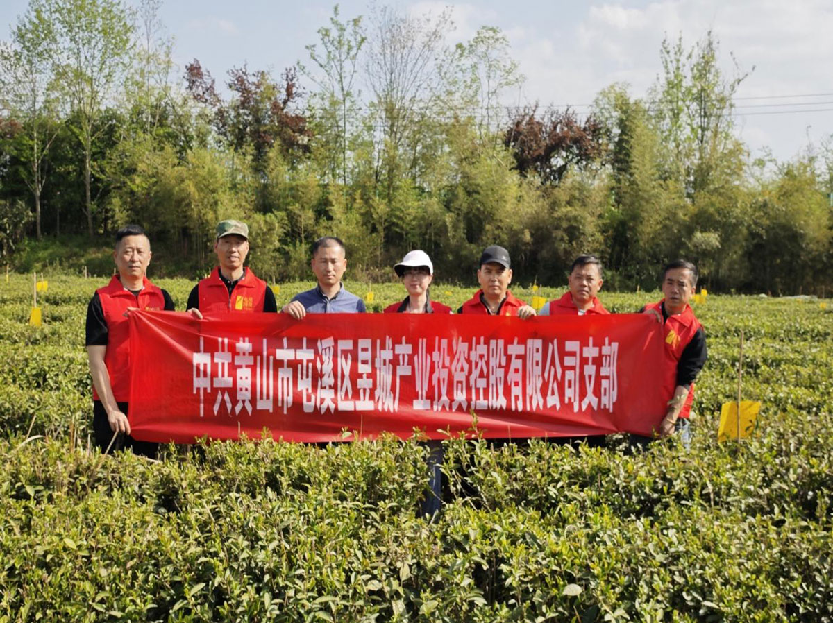 昱城產(chǎn)投公司黨支部開展“茶香潤(rùn)初心，黨旗映茶園”主題黨日活動(dòng)