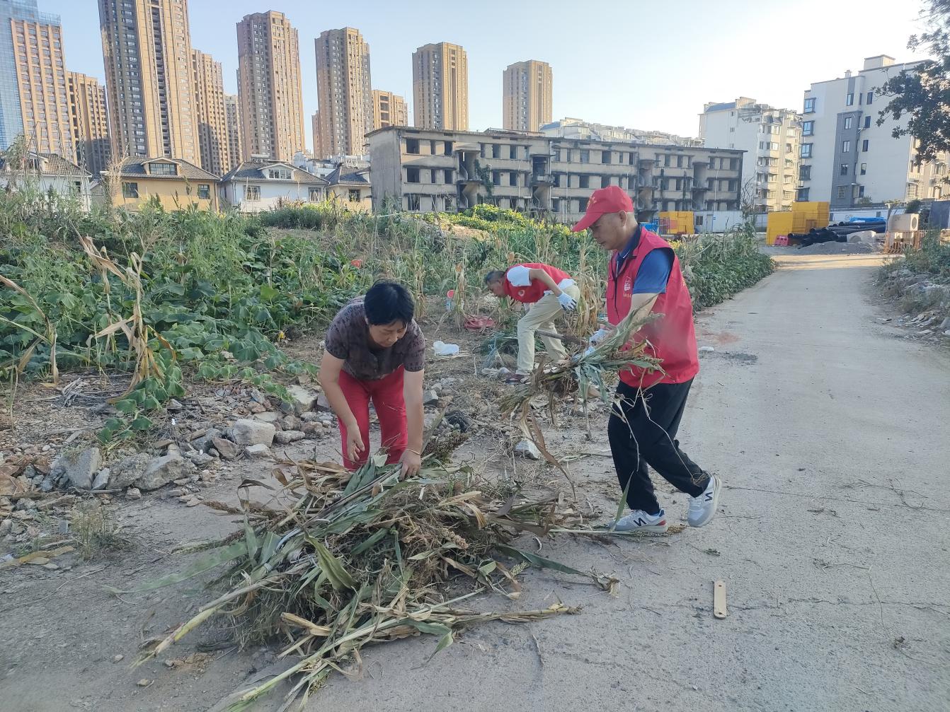 黨員進(jìn)社區(qū)：守護(hù)綠色家園，彰顯國(guó)企擔(dān)當(dāng)