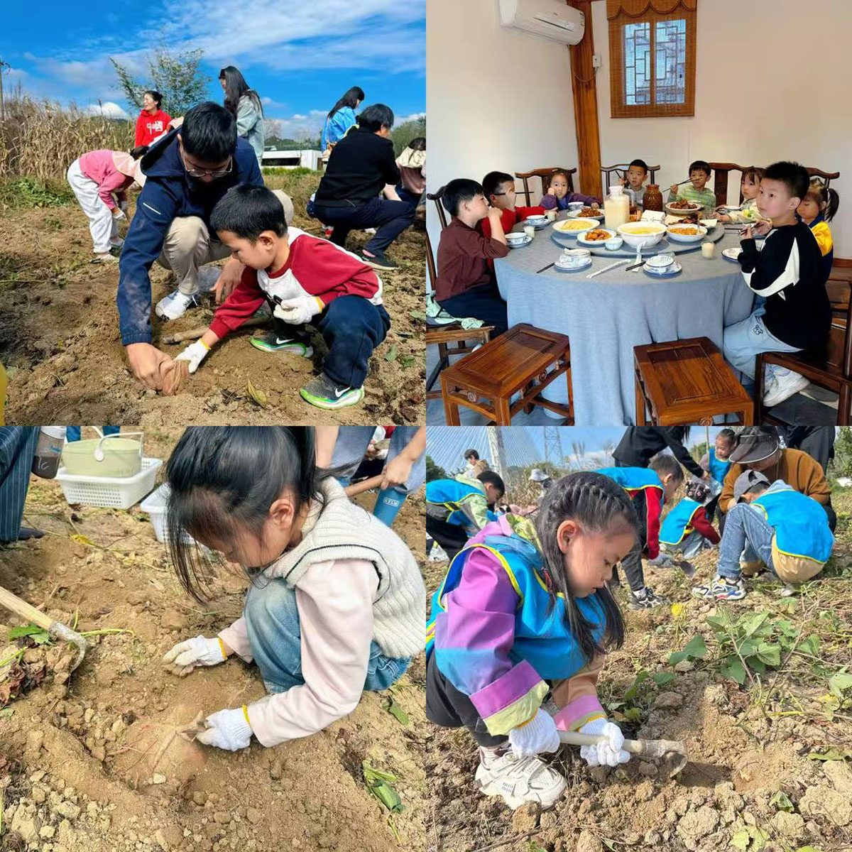 南溪南村：以薯為媒繪新景，活動賦能興鄉(xiāng)村